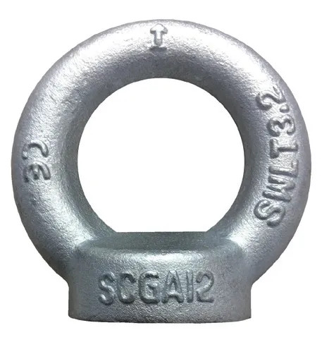 GOLFARI FEMMINA ZINCATO DIN582 - Senza Marca - Vista Principale