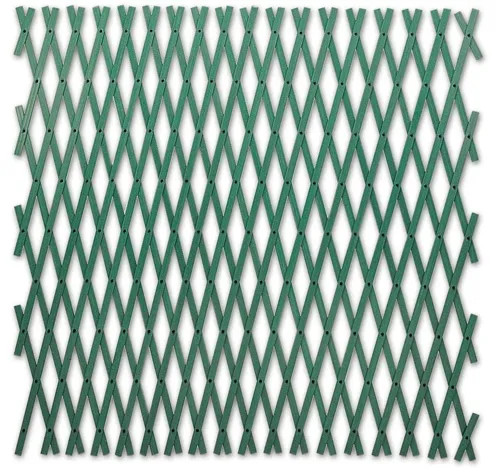 TRALICCIO ESTENSIBILE PVC VERDE - PAPILLON - Vista Principale