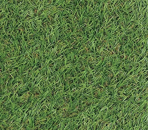 PRATO SINTETICO VERDE PAPILLON CROQUET - Senza Marca - Vista Principale