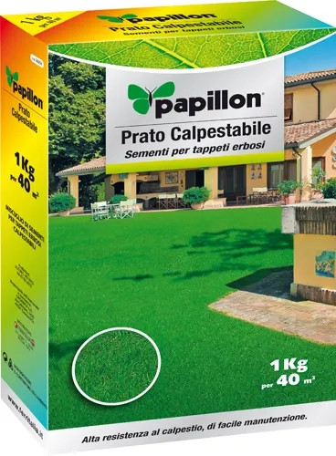 SEMI PRATO PAPILLON - PAPILLON - Vista Principale