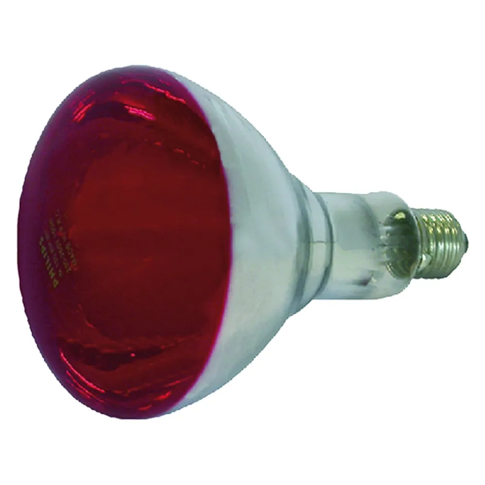 LAMPADA INFRAROSSI PER RIFLETTORE - ALBERT KERBL - Vista Principale