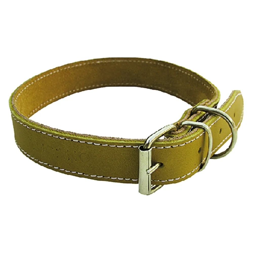 COLLARE PER CANE - Senza Marca - Vista Principale