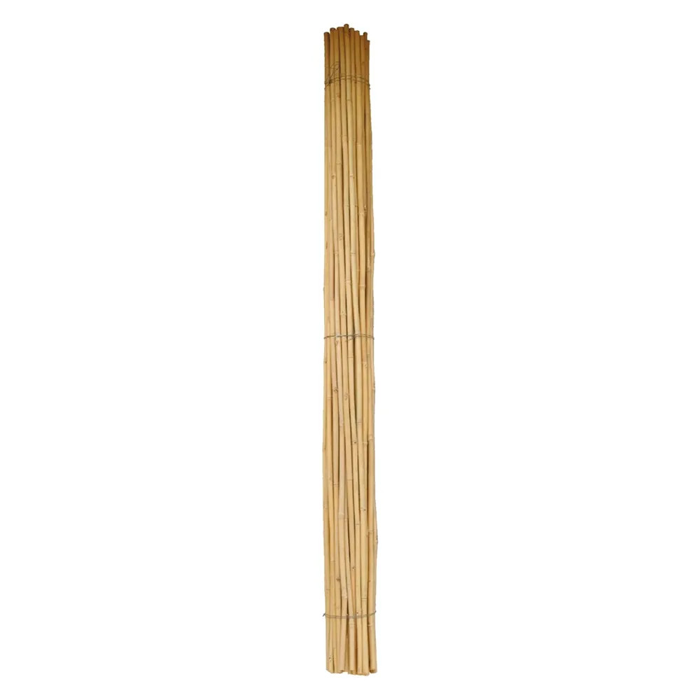 CANNA BAMBU' - Senza Marca - Vista Principale