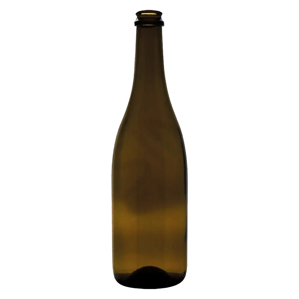 BOTTIGLIA IN VETRO TIPO 'CHAMPAGNE' - Senza Marca - Vista Principale
