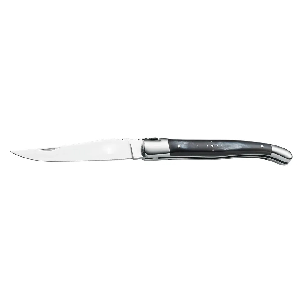COLTELLO DA TASCA 'LIGUIOLE' - AUSONIA - Vista Principale