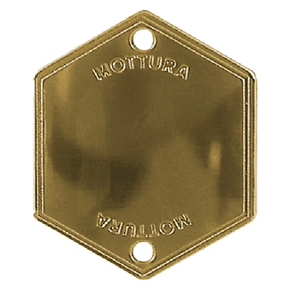 MOSTRINA COPRIFORO ART.95146 finitura argento - MOTTURA - Vista Principale